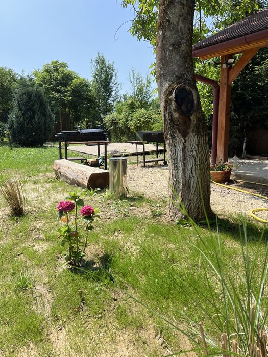 Оренда житла біля найкращих термалів Закарпаття в с. Яноші