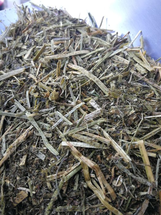 Sieczki z lucerny z olejem lnianym