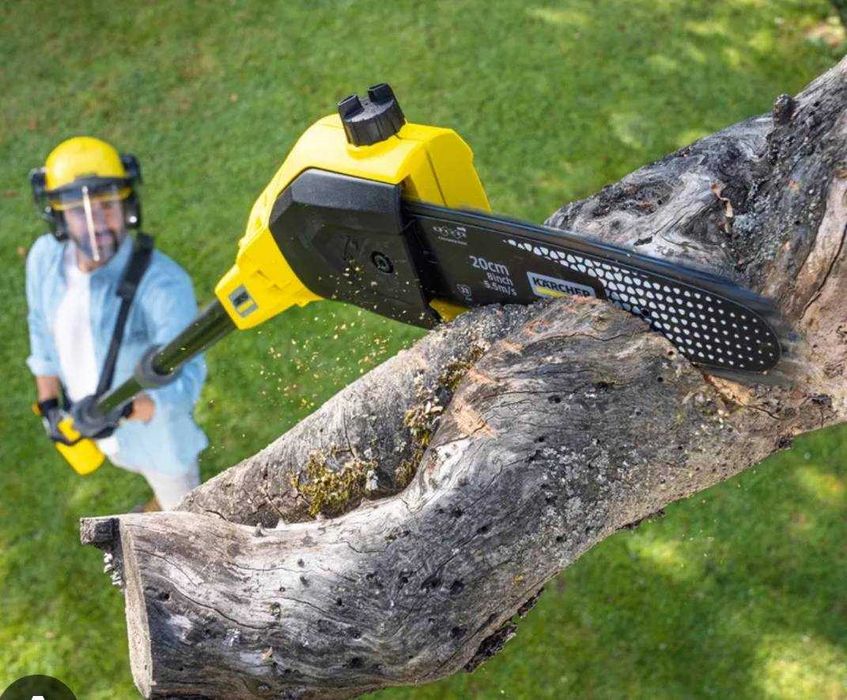 Przycinanie tui, przycinanie drzew, wycinka drzew, wywóz masy zielonej