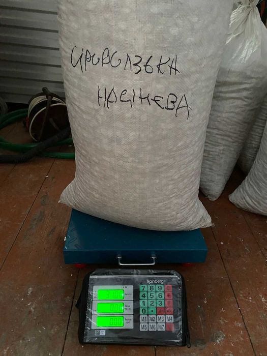 Сіровозька насіння гарбуза