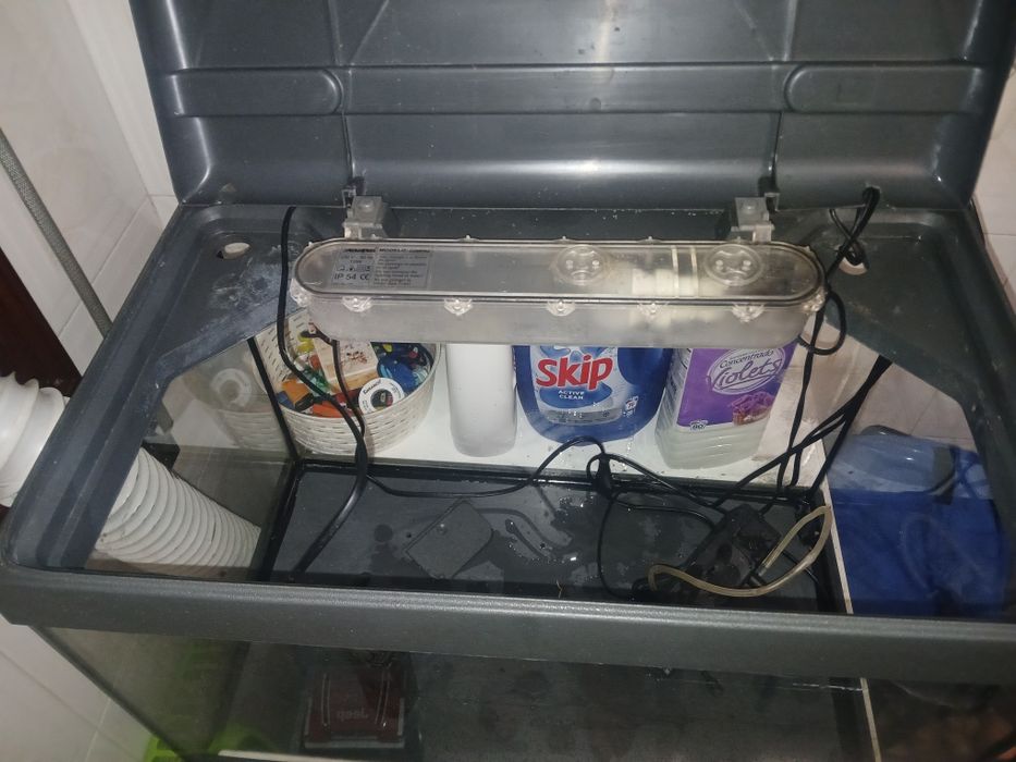 Aquário para peixes