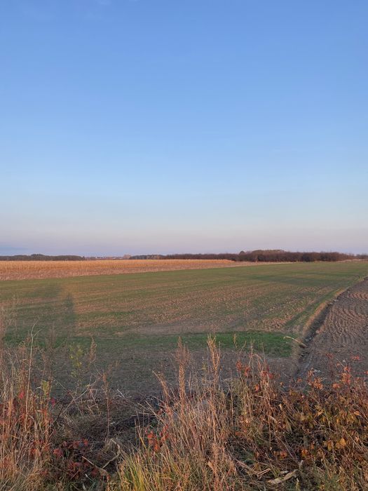 Działka inwestycyjna 1.7 ha
