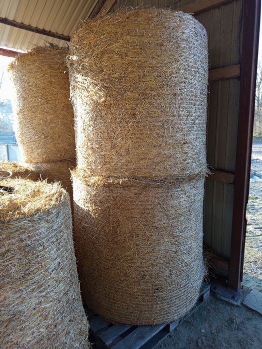 Sprzedam słomę suchą