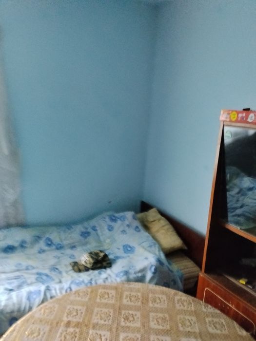 Продам будинок в селі літиня
