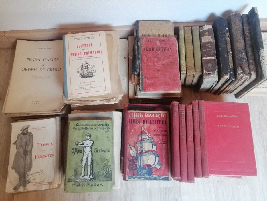 Conjunto de Livros