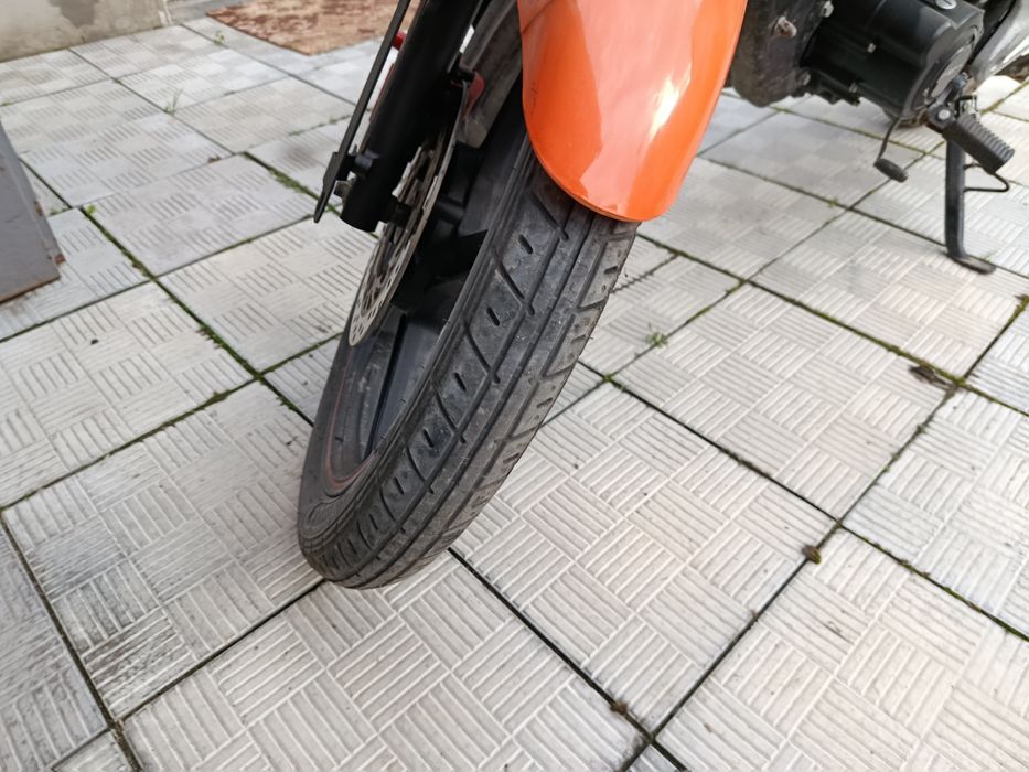 Geon pantera 150
