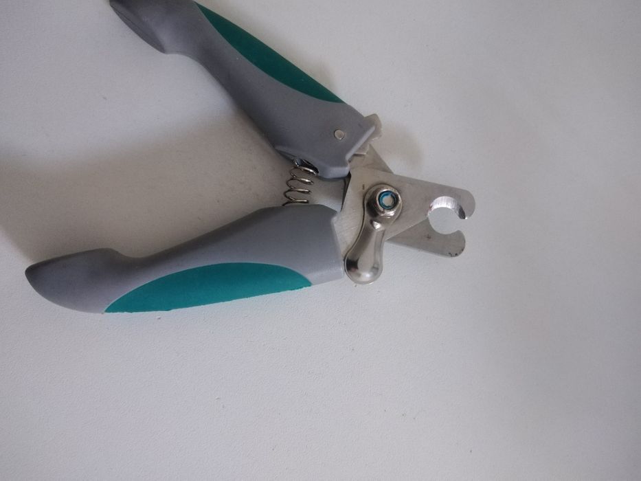 Transportadora para cães de raça pequena