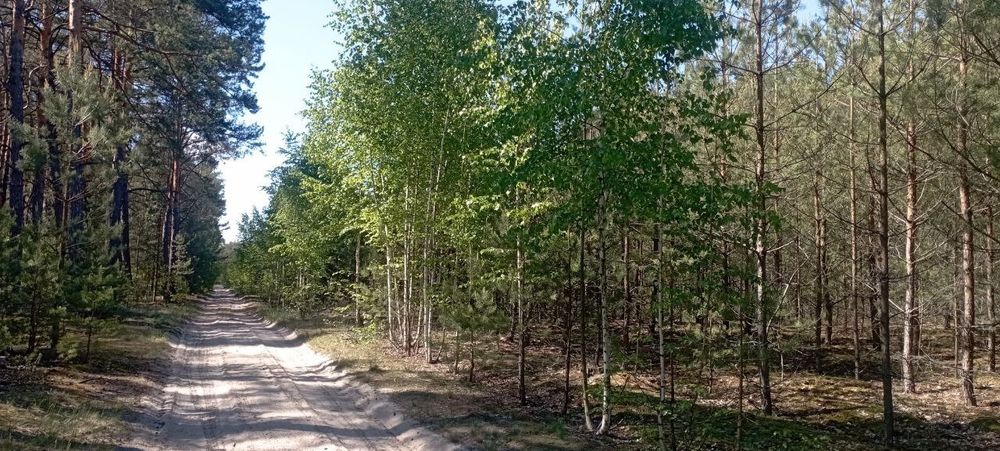 Земельна ділянка 20 соток