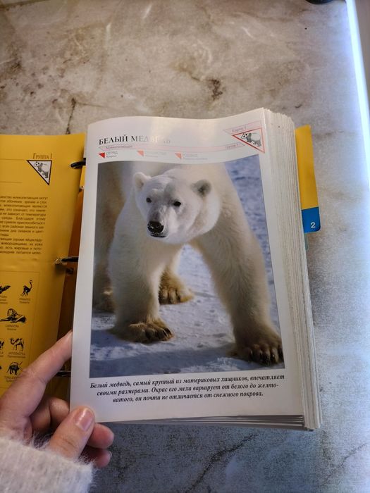 Энциклопедия собранная