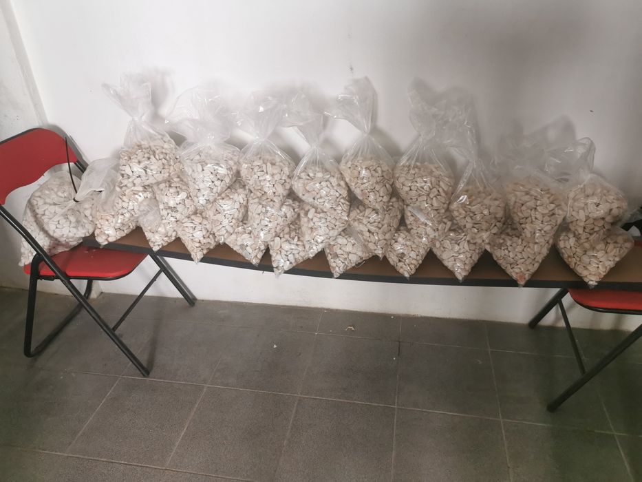 Pedras brancas para jardins