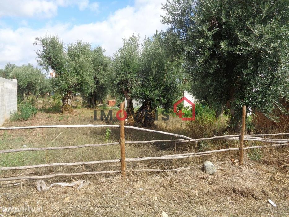 Terreno com viabilidade de construção