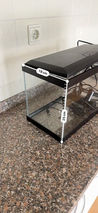 Aquário de peixes