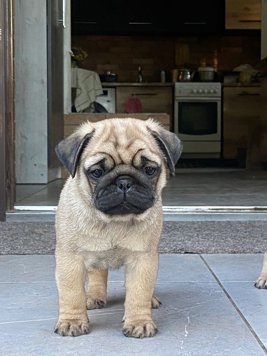 Хлопчик для найкращої родини
