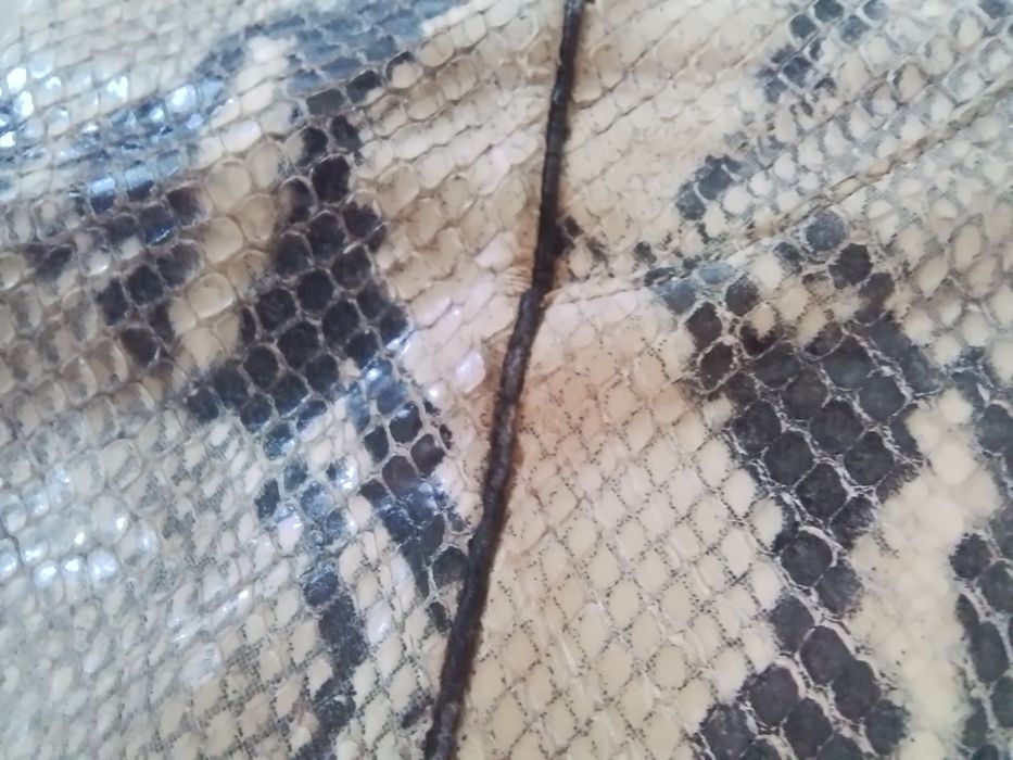 Kozaki letnie  ze skóry węża naturalnego, rozmiar 39