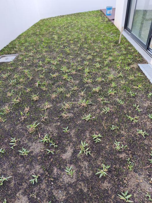 Serviços jardinagem