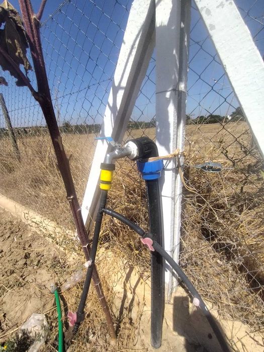 Terreno Rústico Vedado