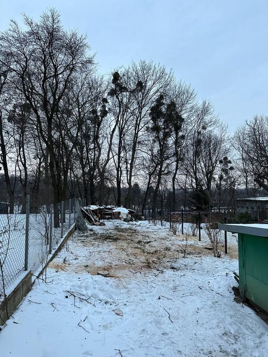 Обрізка плодових Львів/Догляд за садом/Формування плодови