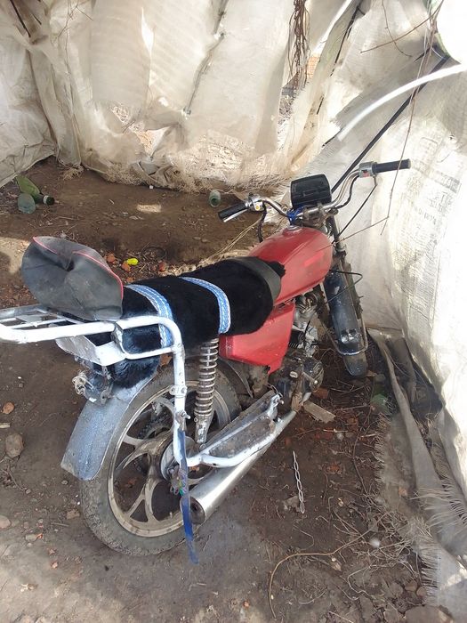 Прадомайеми алфу