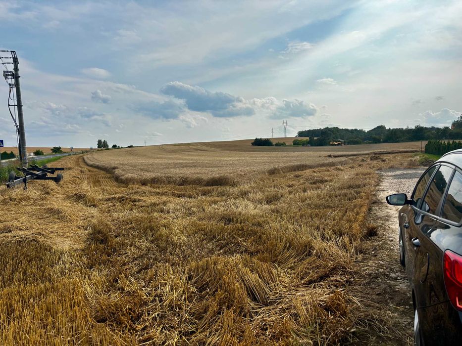 Działki 3,21 HA | ok. 1,6 ha po przekwalifikowaniu  | KUROWICE-MODŁA