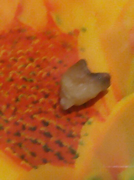 Для ценителей  старья  БЕСПЛАТНО