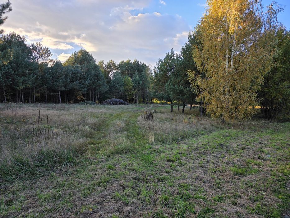 Działka budowlana w Bukowcu 95-006