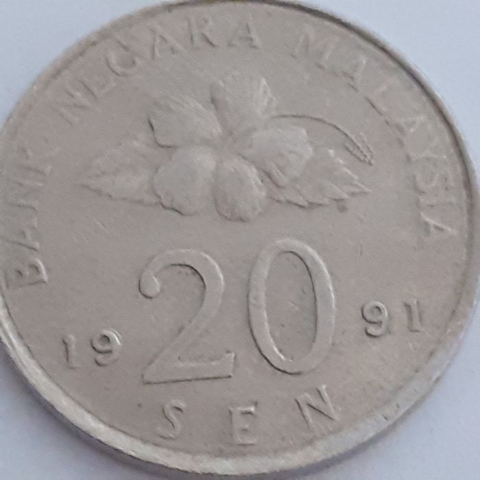 Sprzedam    monetę   z    1991roku.