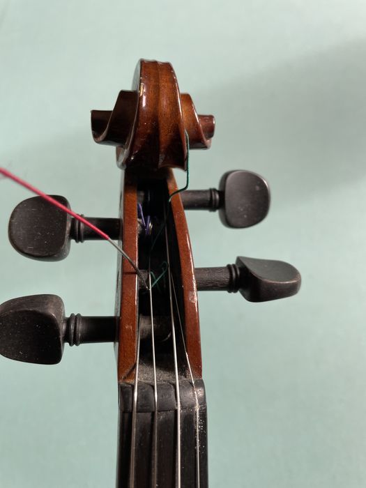 Violino 3/4 stenter