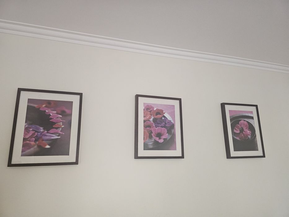 Picture Set64751903079809123