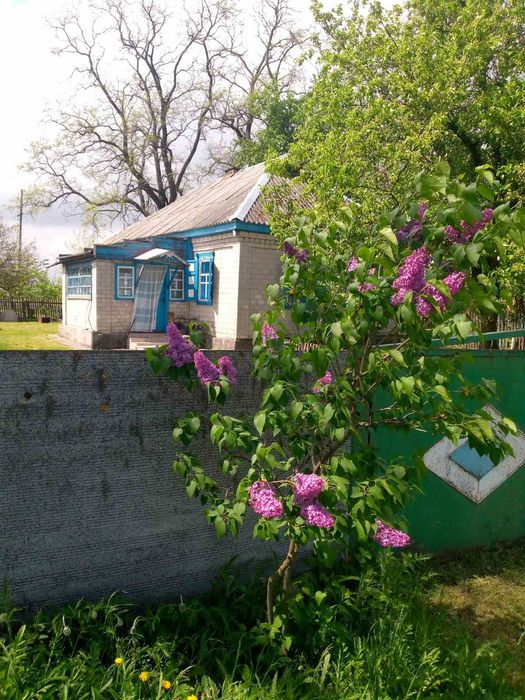 Продам  будинок в с. Набережное Кременчуцького  района