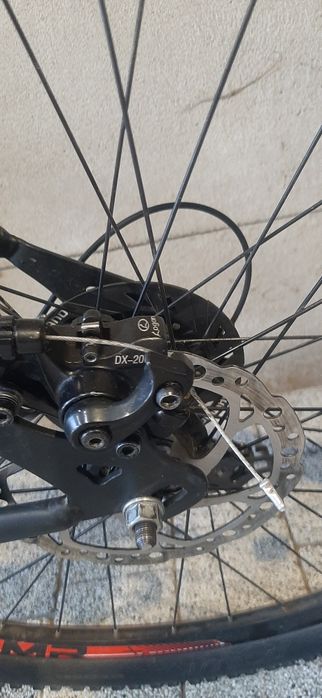 Rower Licorne Strong 29"