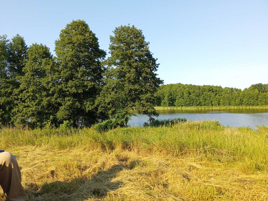 Atrakcyjne dla wędkarzy , grzybiarzy oraz miłośników przyrody.