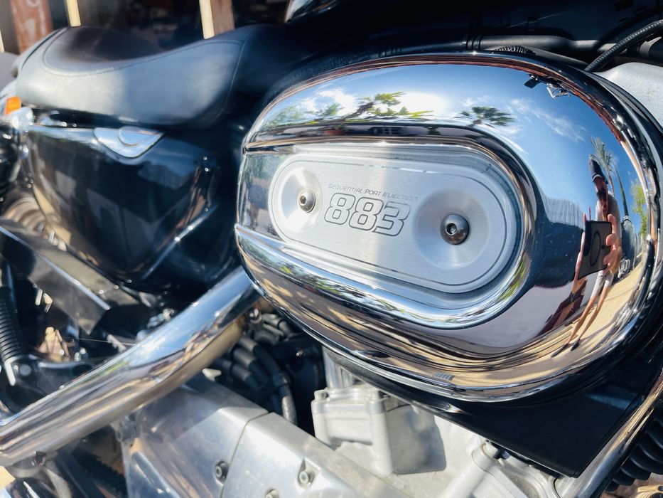 Harley-Davidson Sportster XL 883L Low (2008) — Imaculada | Apenas 14.000 km