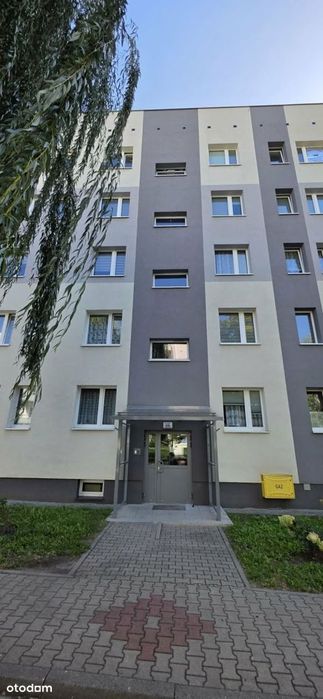 Zdjęcie 8