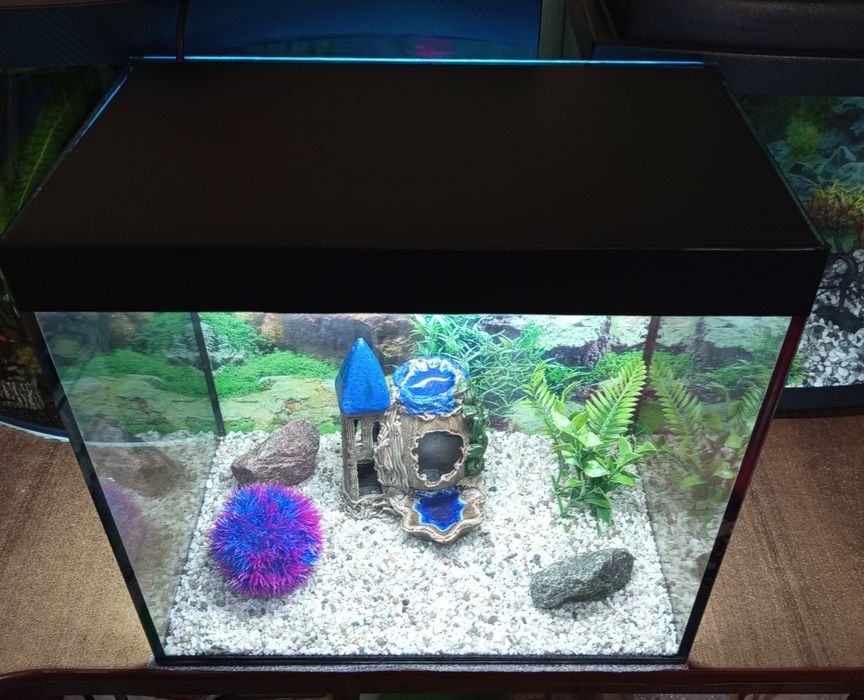 Аквариум 35 литров полный комплект