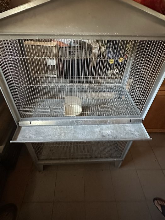 Vendo gaiolo como nova