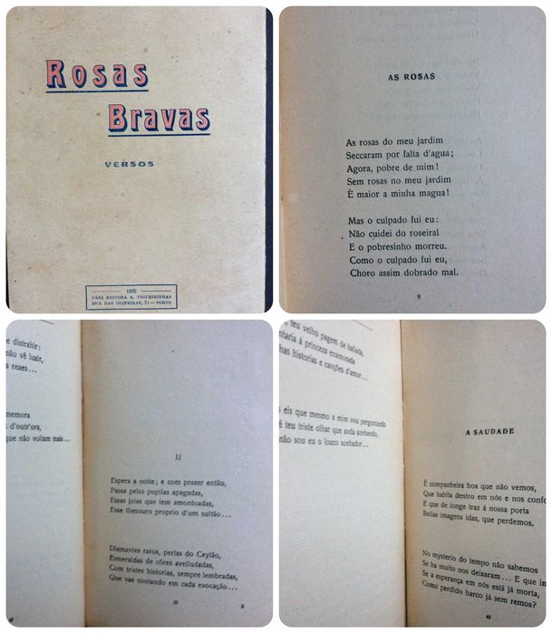 Rosas bravas ( Versos ). Por Henrique de Souza, 1925. Escasso