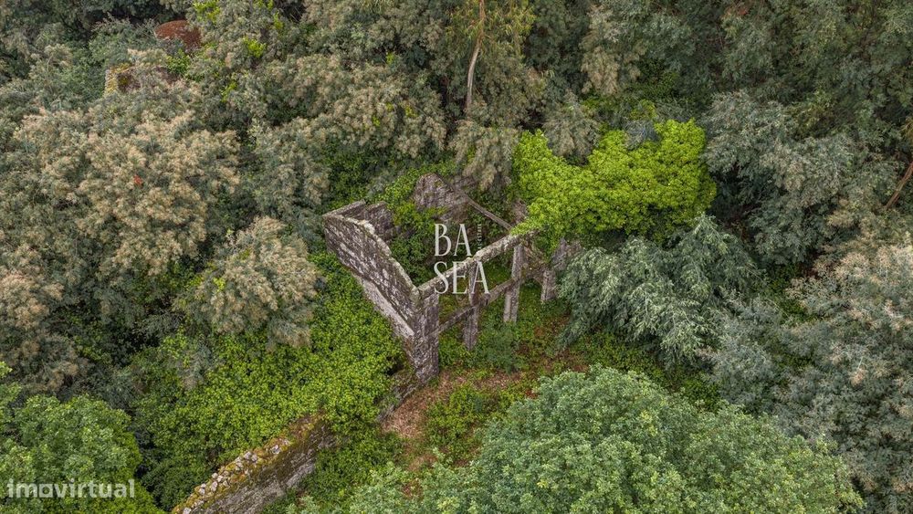 Quinta em ruína com 9.6 ha de terreno em São Clemente Fafe