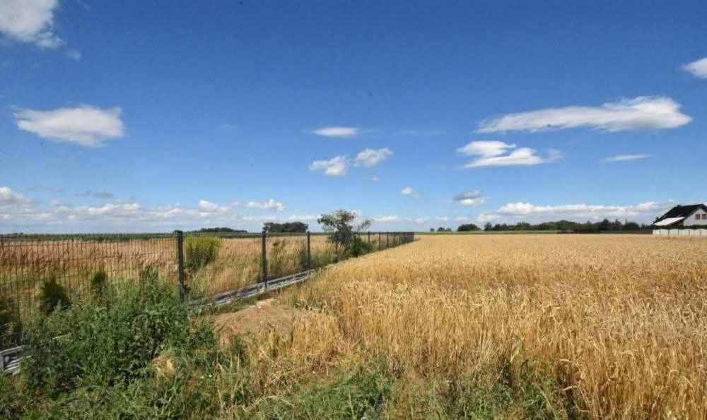 Działka budowlana - Widok 2