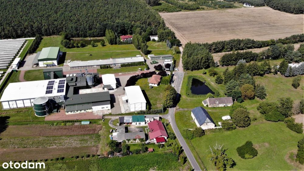 Obiekt produkcyjno-magazynowy cena jaka mnie interesuje to 5000000euro