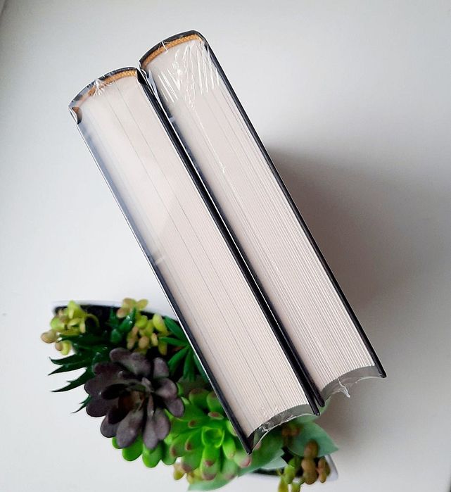 Міжзір’я. Небовись. Цитонікиня. Брендон Сандерсон [в плівці]