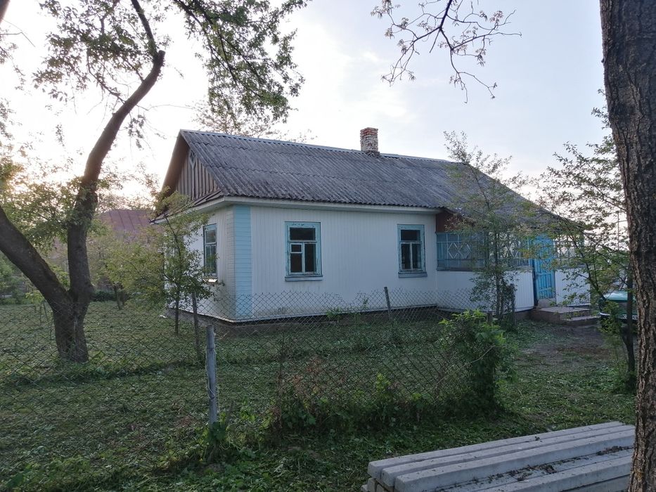 Продам будинок в селі Витків