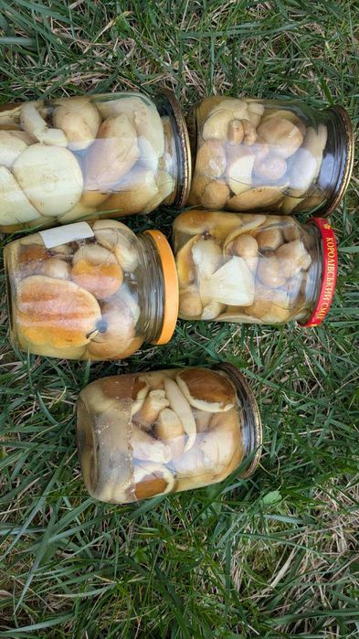Мариновані білі гриби.  Грибы белые