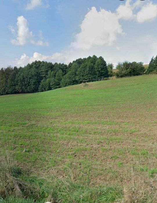 Zdjęcie 5