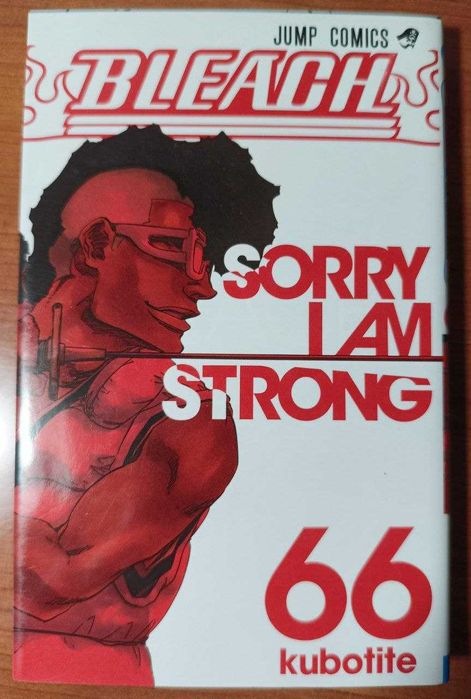 Манга "Bleach" Tite Kubo (66 том на японській мові)