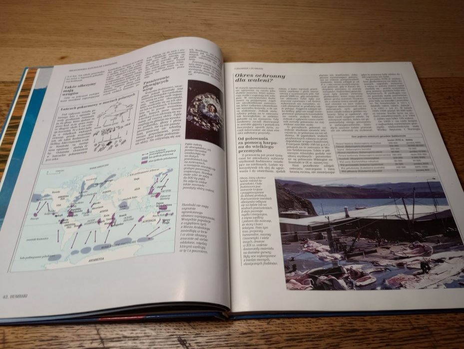 Morza i oceany. Encyklopedia dzikich zwierząt.