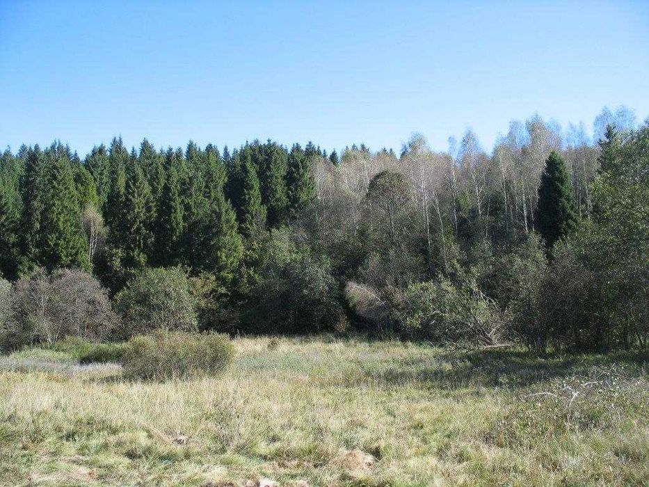 Piękna działka leśna Bieszczady