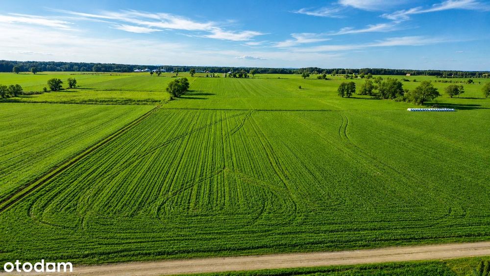 Działki od 786 m² do 1600 m² ! Ul. Żniwna - Widok 3