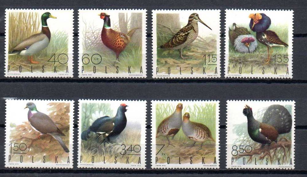 Znaczki Polska 1970 - Łowiectwo, ptaki łowne seria czysta