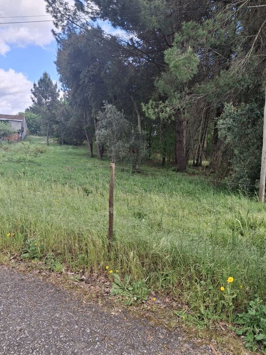 Terrenos para venda