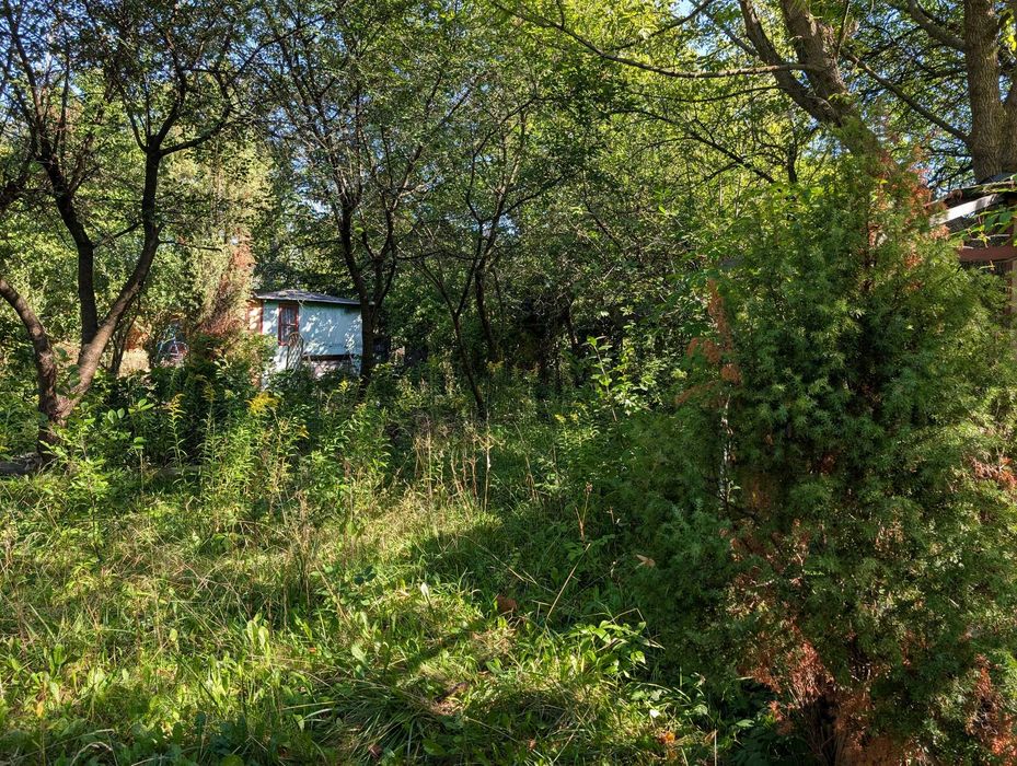 ROD Czerniaków ogród działkowy - Widok 4